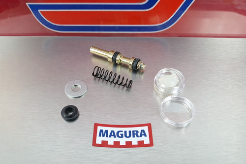 Pistoncino kit revisione - kit, pompa